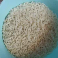 فروش برنج