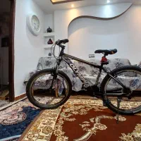 دوچرخه دنده ای المپیاد