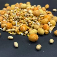 حبه میوه.کشک چیپسی.بستنی خشک.میوه خشک|خوردنی و آشامیدنی|مشهد, مصلی (کارمندان اول)|دیوار