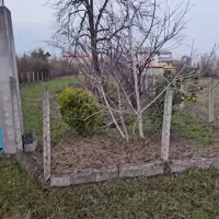 زمین مسکونی در سراوان