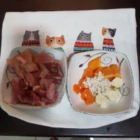 غذای خانگی گربه|لوازم جانبی حیوانات|تهران, سازمان برنامه جنوبی|دیوار