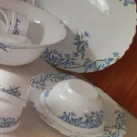 آرکوپال آلیا