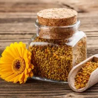 گرده گل|خوردنی و آشامیدنی|نیشابور, مازول|دیوار