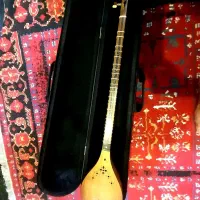 سه تار حرفه ی
