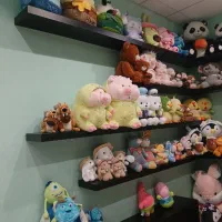 حراج انواع عروسک اورجینال