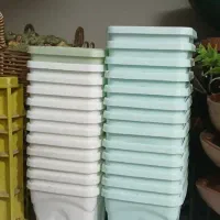 گلدان پلاستیکی کوچک مخصوص نشا وکاکتوس