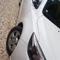 شاهین glدر حد خشک