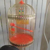 قفس و لوازم پرنده