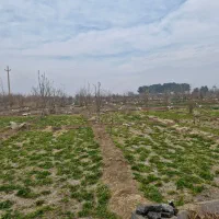 1000-متر-باغ-چهاردیواری-2500