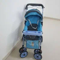 ۲ عدد کالسکه