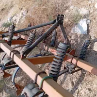 یک عدد پنجه غازی برزیلی