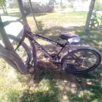 دوچرخه دنده ای ویوا|دوچرخه، اسکیت، اسکوتر|بجنورد, |دیوار