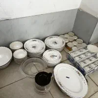 آرکوپال گل ویکتوریا فرانسوی