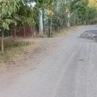 باغ درآمدزا درتپه باشی فیرورق