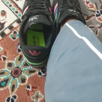 کفش نو