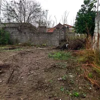 زمین سنددار زیبا کنار ۳۲۴ متری|فروش زمین و ملک کلنگی|لشت نشا, |دیوار