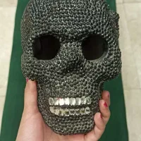 اسکلت جمجمه نگین کاری شده