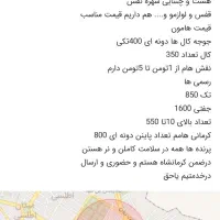 سهرره سقاا|پرنده|شیراز, حافظیه|دیوار