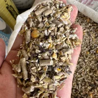 خوراک دام اجیلی مناسب پروار بندی و داشتی|لوازم جانبی حیوانات|مراوه, |دیوار