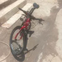 دوچرخه مدل آمانو