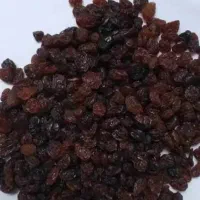 فروش کشمش، پلویی ، تیز آبی و|خوردنی و آشامیدنی|میاندوآب, |دیوار