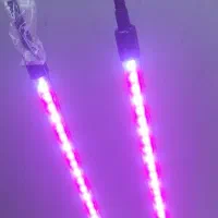 چراغ پروژکتور مخصوص رشد گل و گیاه|گل و گیاه طبیعی|دوگنبدان, |دیوار