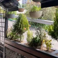 سرمایه گذار و سرمایه گذاری پردرآمد خانم یا آقا