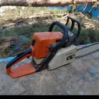 خرید چوب و بریدن درخت حمل شاخ برگ|خدمات باغبانی و درختکاری|شیراز, قصرالدشت|دیوار