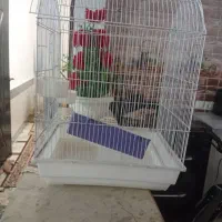 قفس بزرگ
