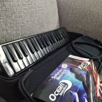 ملودیکا هوهنر