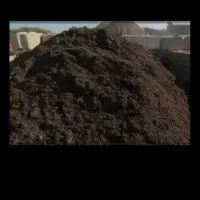 کود حیوانی گوسفندی