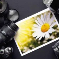 به مدل خانم نیازمندیم (مدلینگ)