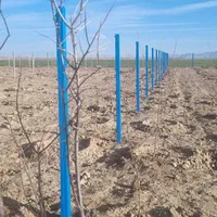 فنس کشی حرفه ای موچانی|خدمات باغبانی و درختکاری|اراک, |دیوار