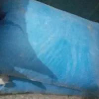 کود سفید و درشت ۸کیسه