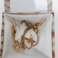 گوشواره .زنجیر.۲ عدد پلاک