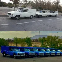 باربری طاهری ( درون شهری و برون شهری )