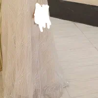 لباس مجلسی|لباس|قدس, شهر‌قدس|دیوار