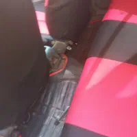 سلام پرایدمدل۱۳۲ فروش فوری مواضیع باپیکان وانت|خودرو سواری و وانت|شوشتر, |دیوار