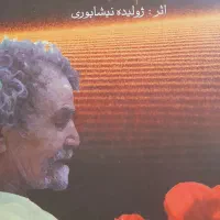 کتاب چه کنم دلم می‌سوزد از ژولیده نیشابوری|کتاب و مجله ادبی|نیشابور, شهرک بسیج|دیوار