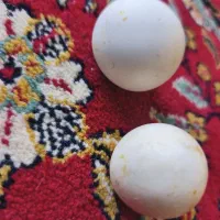 سنگ الماس اسیاب