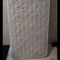 گل و گلدان|گل و گیاه طبیعی|اقبالیه, |دیوار