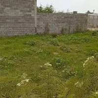 فروش زمین نسقی 100 متری در امام حسین محله کیسبخ|فروش زمین و ملک کلنگی|رشت, شهرک صبا|دیوار