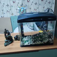 آکواریوم شیشه خم در ورامین