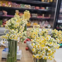 استخدام نیروی خانم و آقا برای مغازه|استخدام خدمات فروشگاه و رستوران|عسلویه, |دیوار