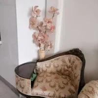 مبل استیل سلطنتی|مبلمان خانگی و میز عسلی|نظرآباد, نظرآباد|دیوار