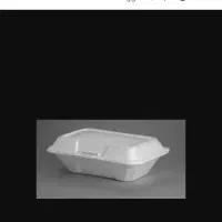 ظرف یکبار مصرف غذا