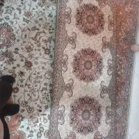 تشکچه نشیمن