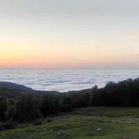 اجاره آپارتمان ۳۸ متری ۱ خوابه طبقه ۲ در نازی آباد