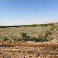 زمین-بر-بلوار-اصلی-پیشک