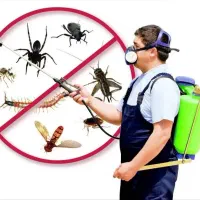سمپاشی حشرات ومبارزه با آفات خانگی